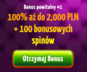 Bonus na start 100% do 2000zł  z free spins w Winota
