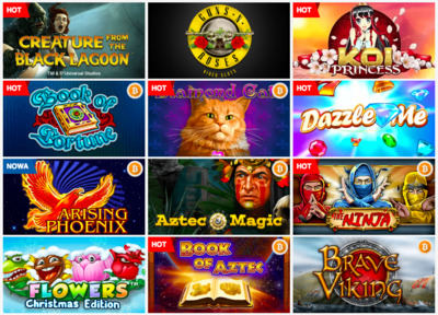 Kategorie oferowanych gier i video slotów w Playamo